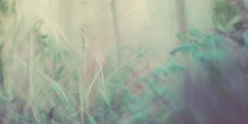 或许他心里还有你出自哪首歌？