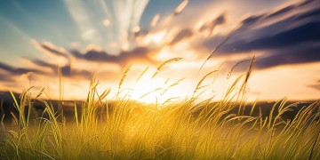 天气矫健究竟是哪首歌？