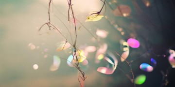 看破人生是怎样一首歌？