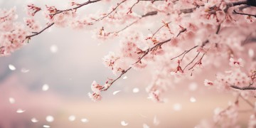 不知如何去面对出自哪首歌呢？