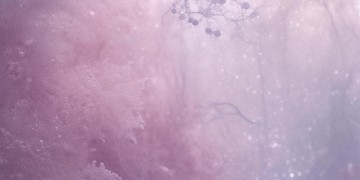 与君歌里面的面究竟是什么面？