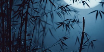 天行九歌卫庄下句该接什么？