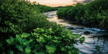 什么样的歌是关于爱世界的呢？