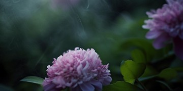 不可以牵别人的手出自哪首歌？