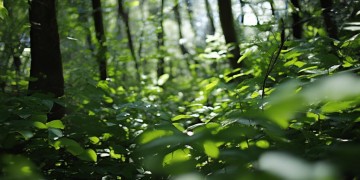 听见声音找掩体究竟是哪首歌？