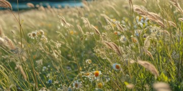 多少人为了生活出自哪首歌？
