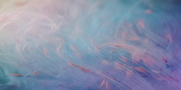 你是否能听见那声音出自哪首歌？