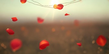 缘份来得猝不及防到底是什么歌？