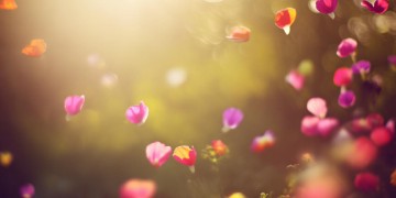 想陪你去看花海啊到底是哪首歌？