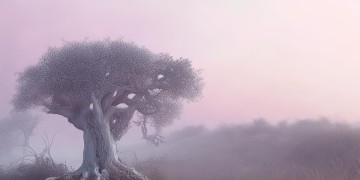 白神沧桑究竟是哪首歌的歌词？