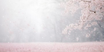 生命短暂难免遗憾究竟是哪首歌？