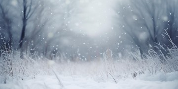 冷风中夹杂着雪花出自哪首歌？
