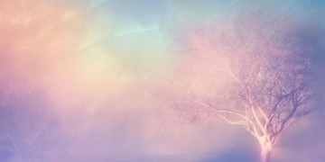 空空空空究竟是哪首歌的歌词？