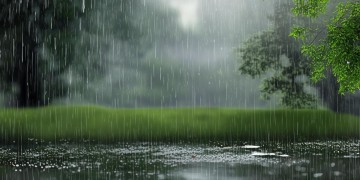 天空下起雨了究竟是哪首歌？