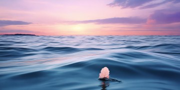 风停了这句歌词出自哪首歌？