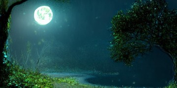 有你夜晚就不孤单究竟是哪首歌？
