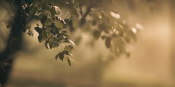 想你的心太沉重了出自哪首歌？