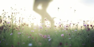 人来到这个世间出自哪首歌？