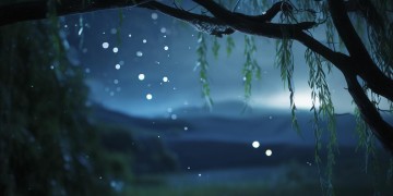 谁的彻夜不眠究竟是哪首歌？