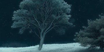 男生版孤独的夜到底是什么歌？