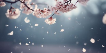 我也曾经流泪这句歌词出自哪首歌？