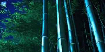 你倾听夜的风出自哪首歌？