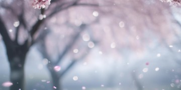 我曾经过得还好吗出自哪首歌？