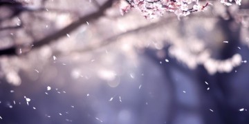 如果留不住就别勉为其难出自哪首歌？