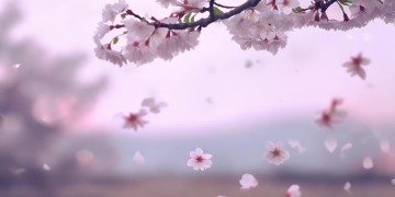 为何要放开手出自哪首歌？