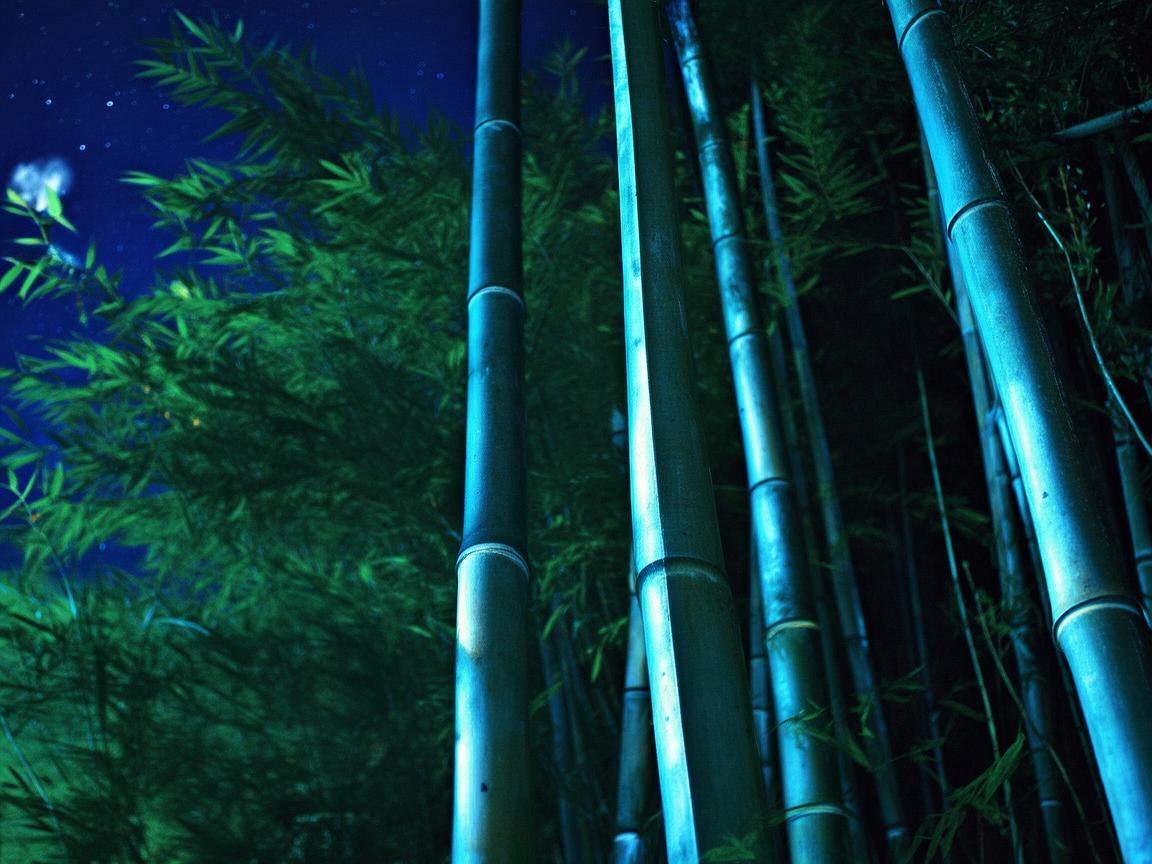 你倾听夜的风出自哪首歌？