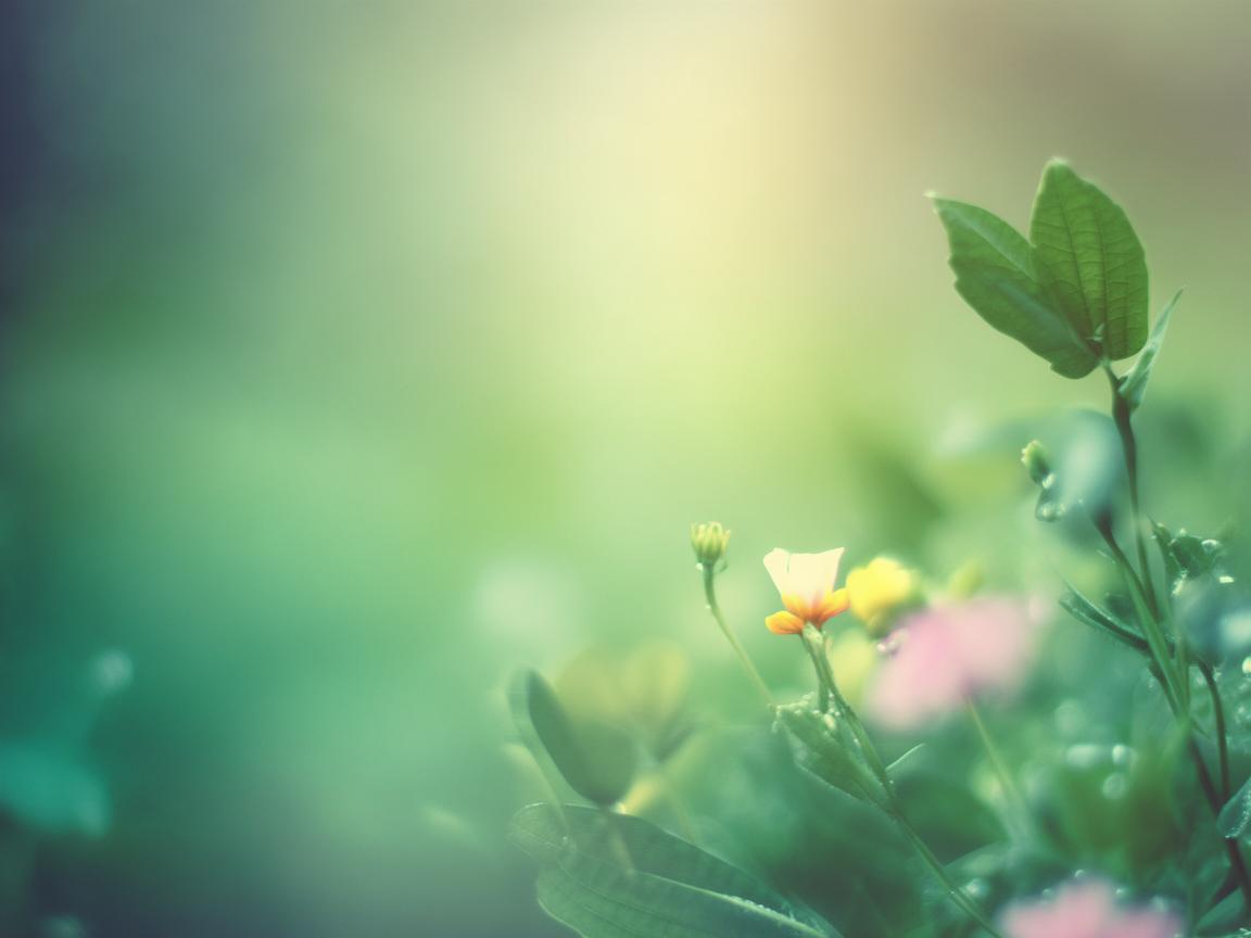 轻轻帮我拍照片这句歌词出自哪首歌？